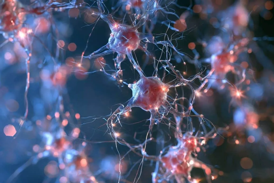 New Transporter Bypasses Blood-Brain Barrier to Deliver Creatine