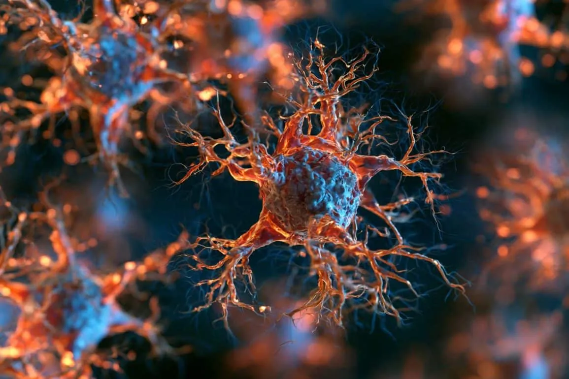 Blocking Immune Cells Protects Memory and Brain Tissue in Alzheimer’s