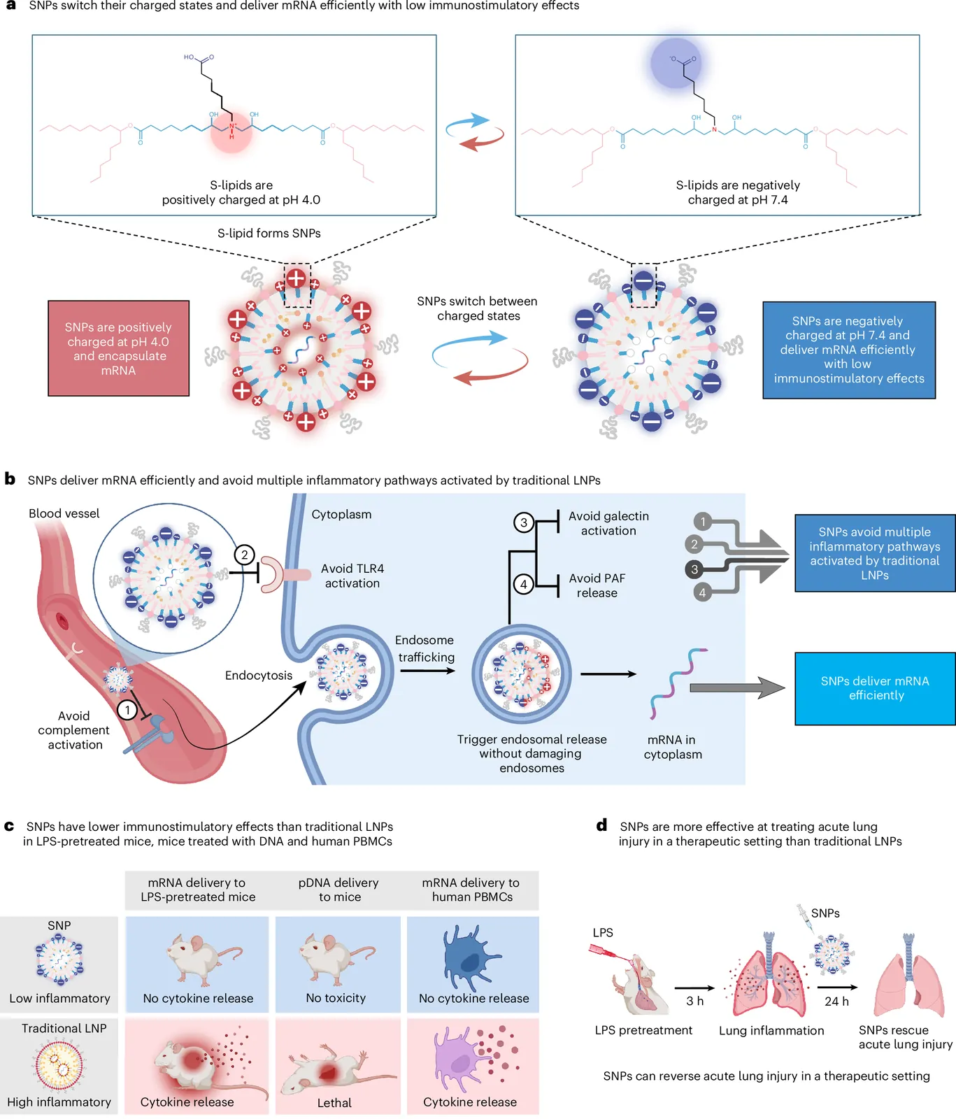 Charge-switching ionizable lipids lower the toxicity of lipid nanoparticles