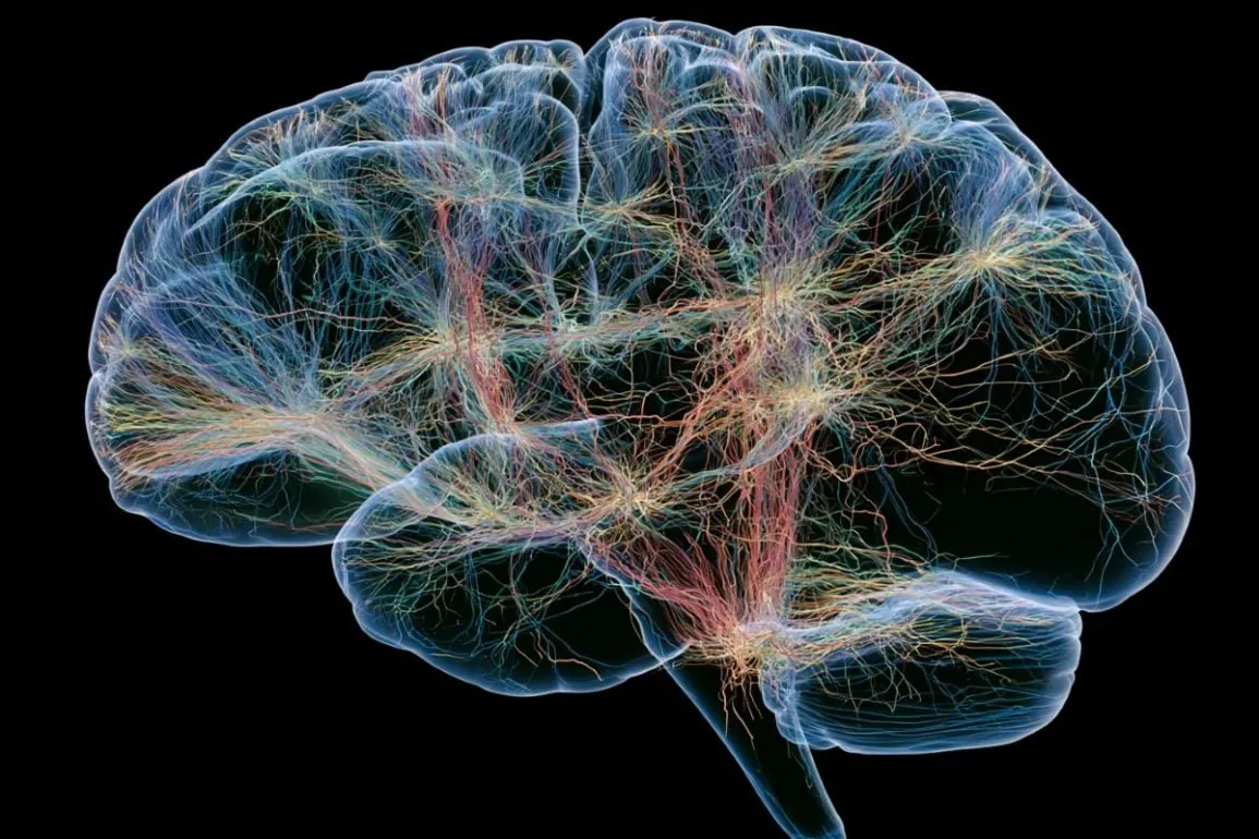Future Obesity Drugs to Target Specific Brain Circuits