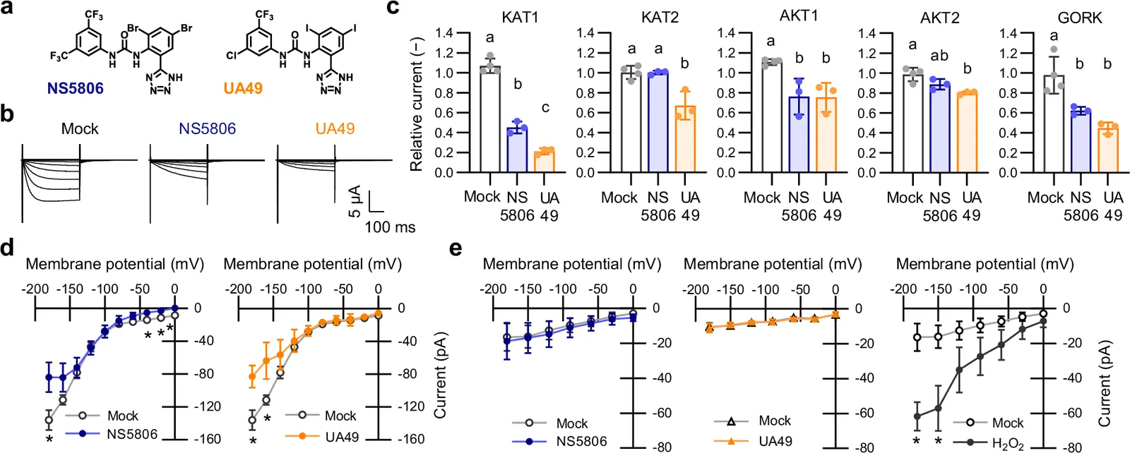 Synthetic ion channel inhibitors enhance plant drought tolerance (Nature - Biotechnology)