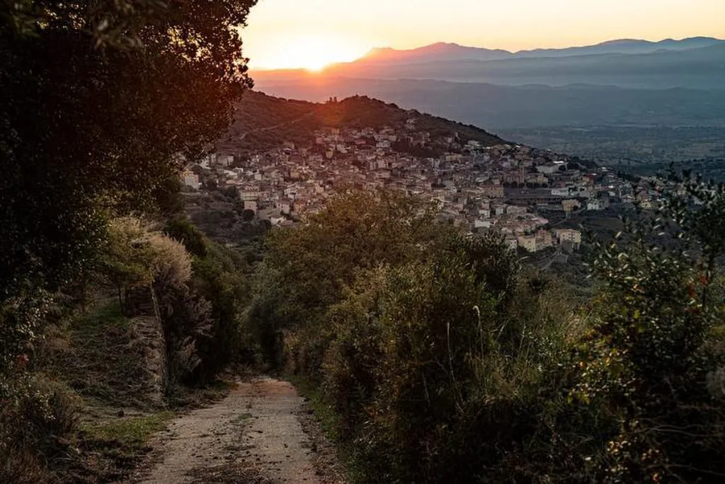 New blue zone found in Sardinian village with no gym