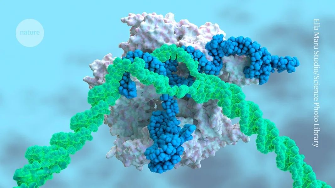 Bigger than CRISPR? A guide to the latest genome editors