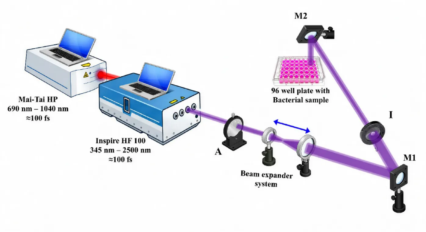 400 Nm femtosecond laser irradiation eradicates mature MRSA biofilms and inhibits their formation via quorum sensing dysregulation