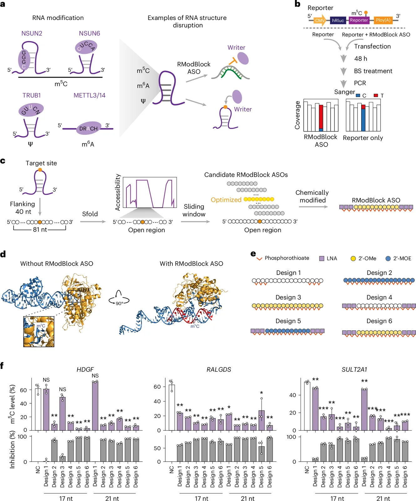 RModBlock antisense oligonucleotides as a universal tool for precise and efficient inhibition of RNA modifications