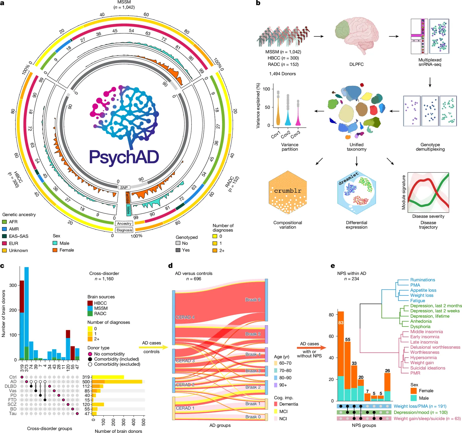 Single-cell atlas of transcriptomic vulnerability across brain disorders