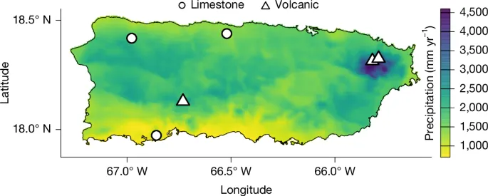 Species intraspecific variation drives tropical forest drought resistance - Nature