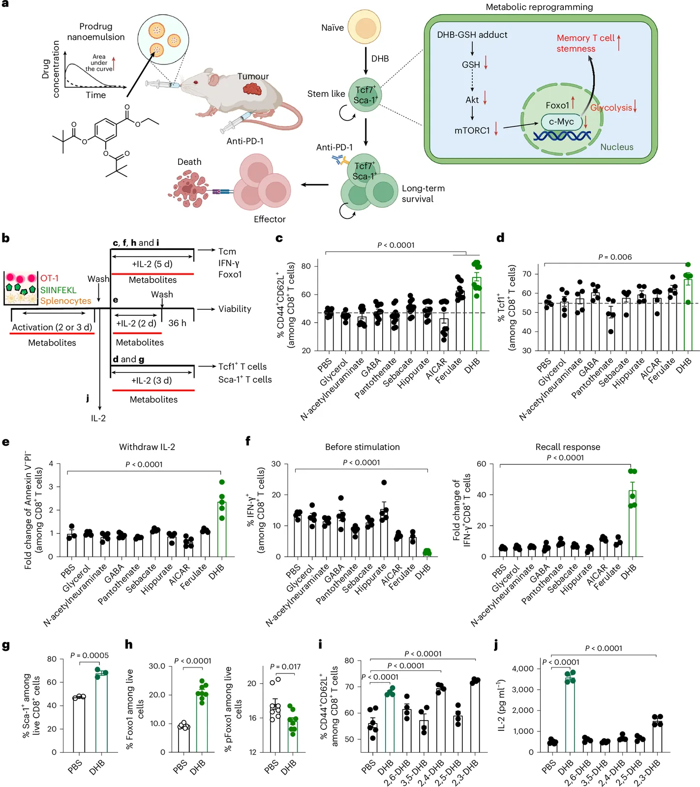 Oral nano-delivery of a gut microbial metabolite enhances T cell stemness for cancer immunotherapy
