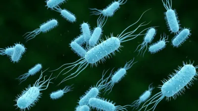 Engineered Enzyme Reverses Age-Related Protein Damage