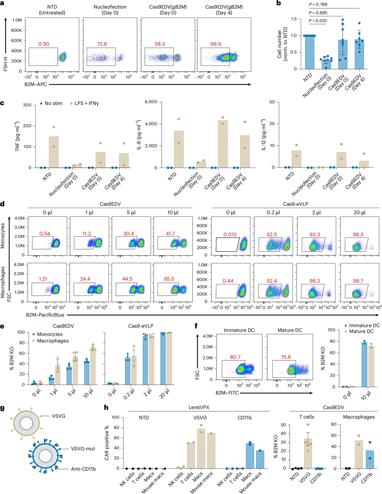 Virus-like particles enable targeted gene engineering and pooled CRISPR screening in primary human myeloid cells