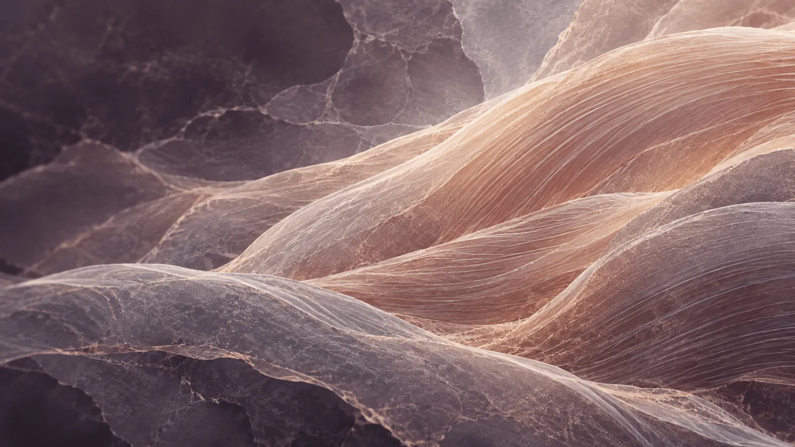 Myostatin inhibitors and the paradox of larger but weaker muscles