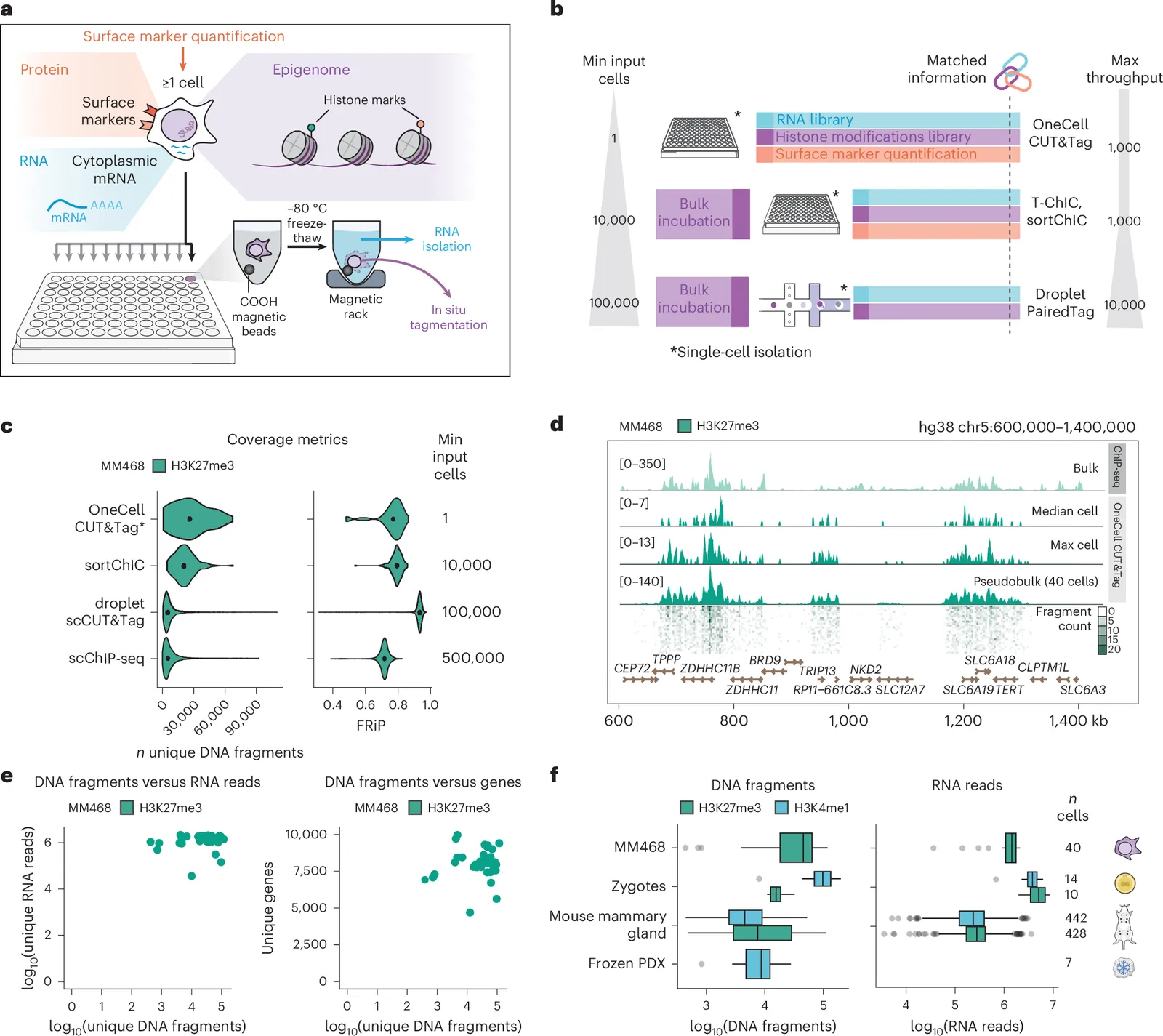 Simultaneous single-cell profiling of chromatin, transcriptome and surface markers with OneCell CUT&Tag captures epigenomic reprogramming