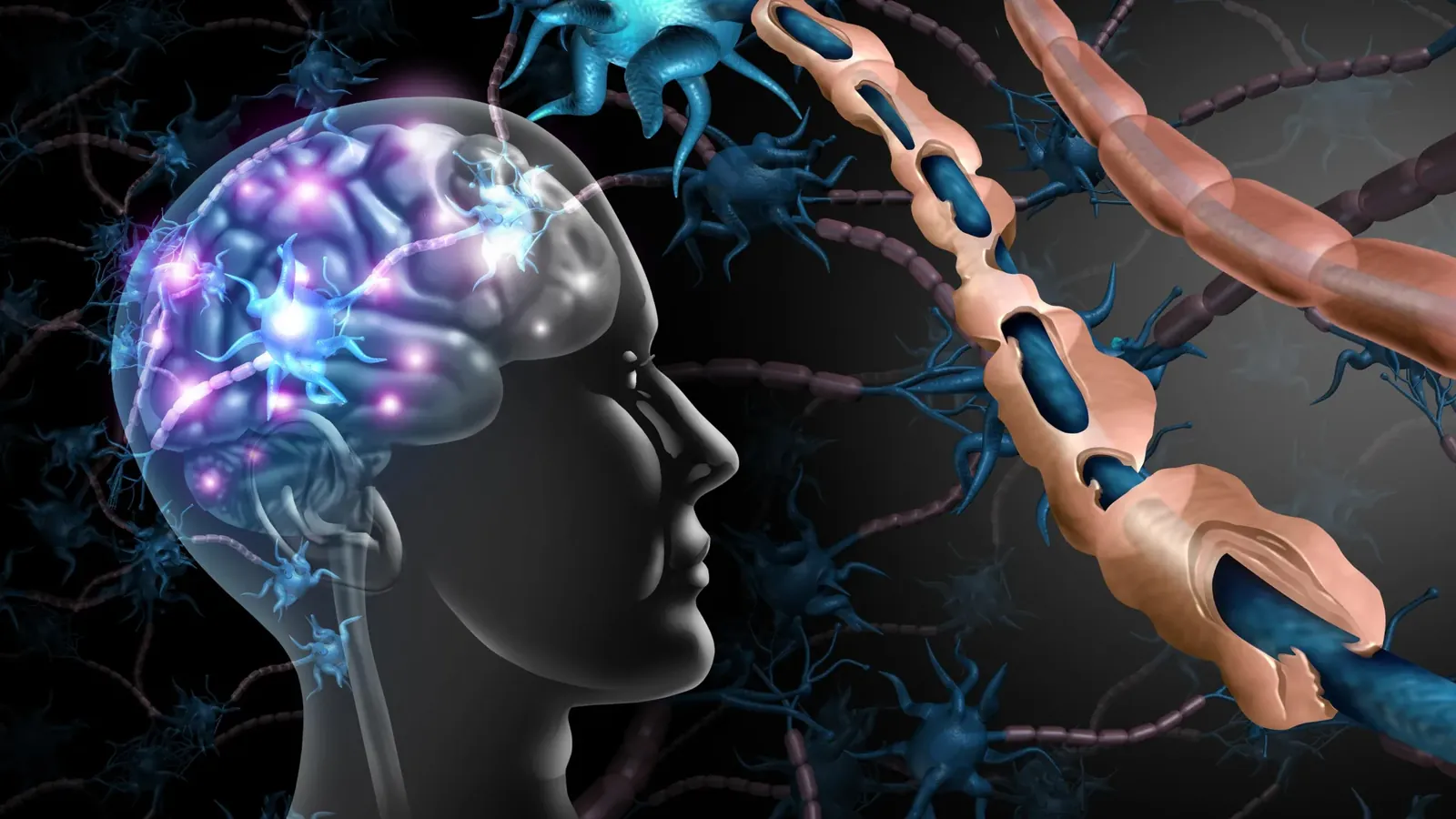 Brain cells meant to protect us may be fueling cognitive decline