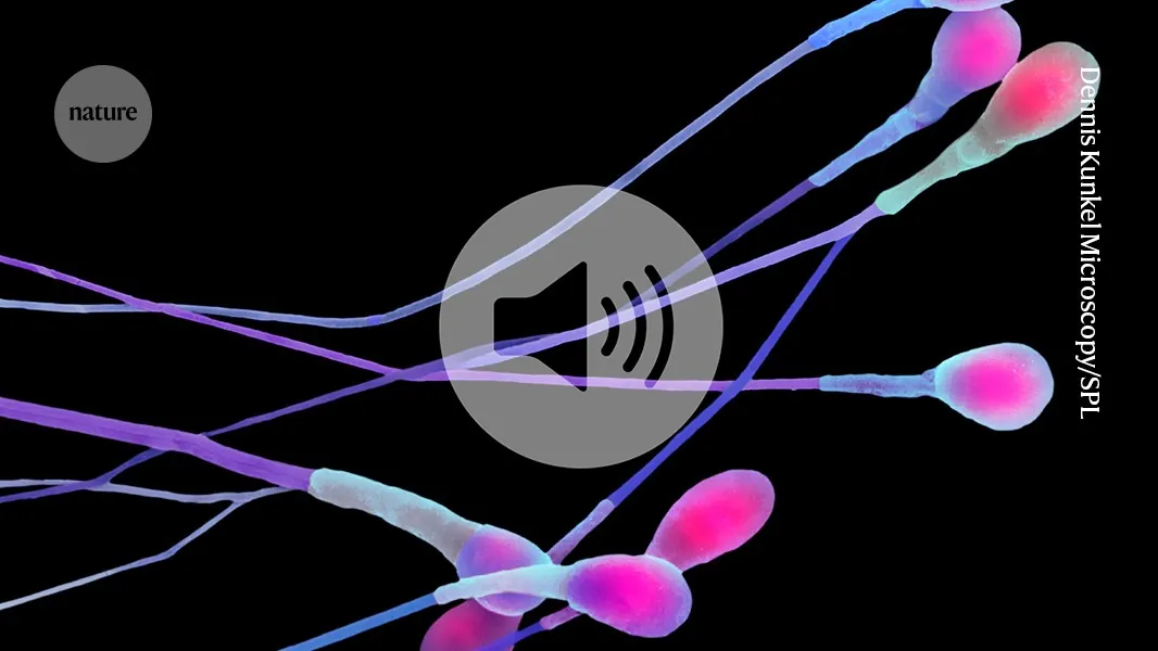 Briefing Chat: Testosterone and sperm might get a boost from obesity drugs (Nature - Main)