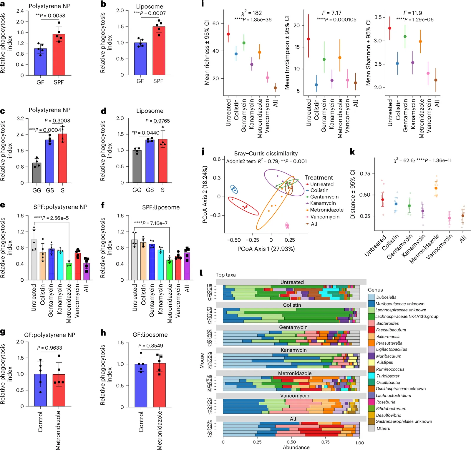 A transferable gut microbiota–bile acid pathway programs nanomedicine pharmacokinetics and therapeutic response
