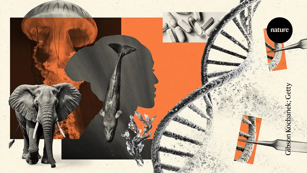 Could mending damaged DNA prolong life?