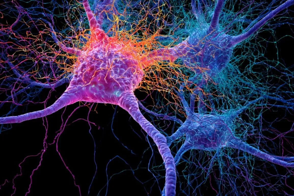 Aging Immune Networks Linked to Parkinson’s Progression (Neuroscience News)